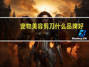 宠物美容剪刀什么品牌好