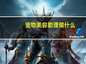 宠物美容助理做什么