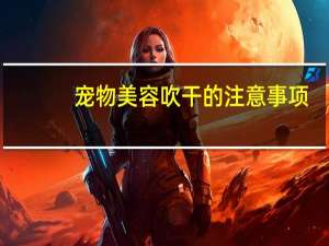 宠物美容吹干的注意事项