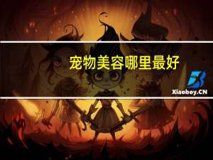 宠物美容哪里最好