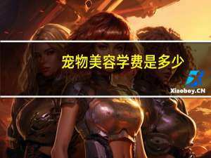 宠物美容学费是多少