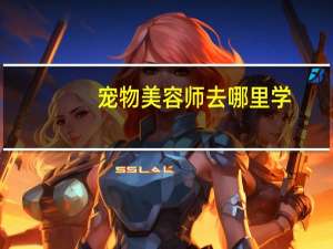 宠物美容师去哪里学