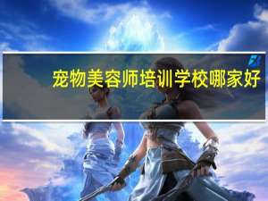 宠物美容师培训学校哪家好