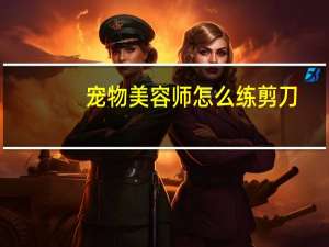 宠物美容师怎么练剪刀