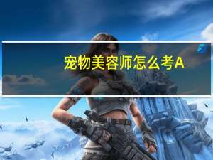 宠物美容师怎么考A