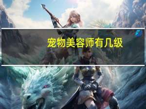宠物美容师有几级