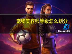 宠物美容师等级怎么划分