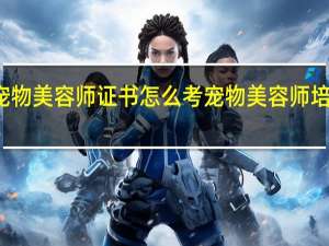 宠物美容师证书怎么考 宠物美容师培训费用