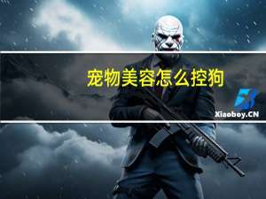 宠物美容怎么控狗