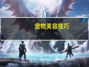 宠物美容技巧