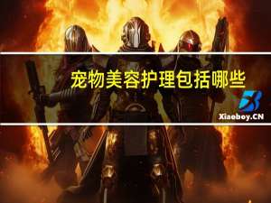 宠物美容护理包括哪些