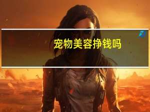 宠物美容挣钱吗