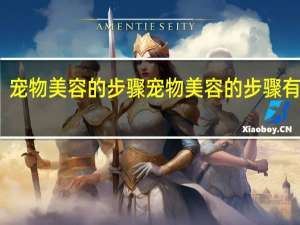 宠物美容的步骤 宠物美容的步骤有哪些
