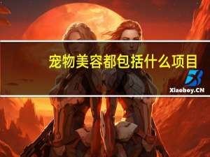 宠物美容都包括什么项目