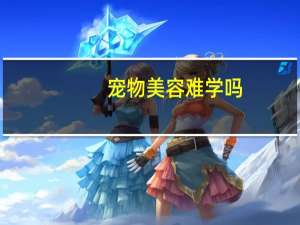 宠物美容难学吗