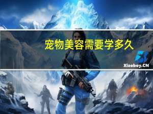 宠物美容需要学多久