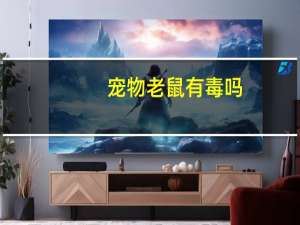 宠物老鼠有毒吗