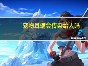 宠物耳螨会传染给人吗