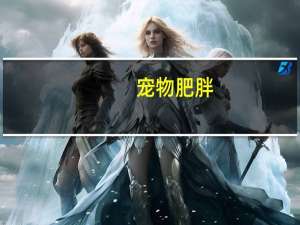 宠物肥胖