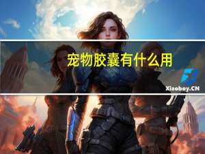 宠物胶囊有什么用