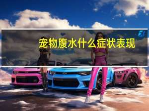 宠物腹水什么症状表现