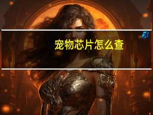 宠物芯片怎么查