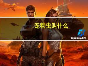 宠物虫叫什么