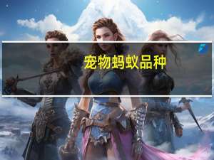 宠物蚂蚁品种