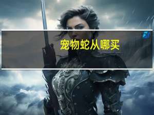 宠物蛇从哪买