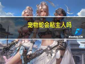 宠物蛇会粘主人吗