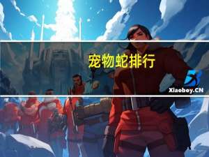 宠物蛇排行
