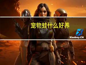 宠物蛙什么好养