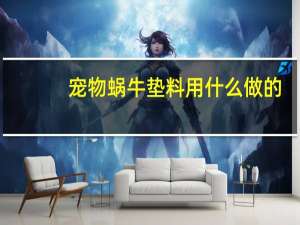 宠物蜗牛垫料用什么做的