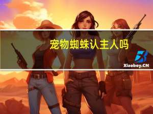 宠物蜘蛛认主人吗