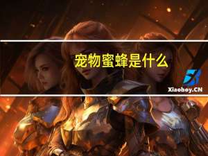 宠物蜜蜂是什么