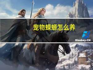 宠物蝾螈怎么养