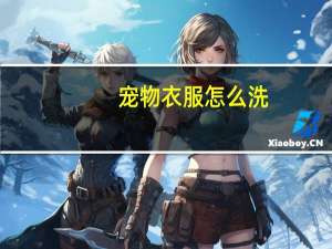 宠物衣服怎么洗