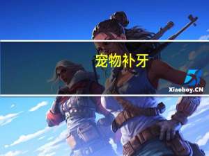 宠物补牙