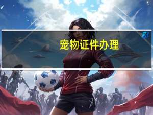 宠物证件办理