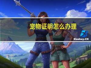 宠物证明怎么办理