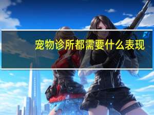 宠物诊所都需要什么表现