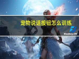 宠物说话按钮怎么训练