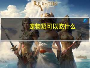 宠物貂可以吃什么