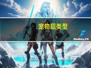 宠物貂类型