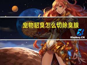 宠物貂臭怎么切除臭腺