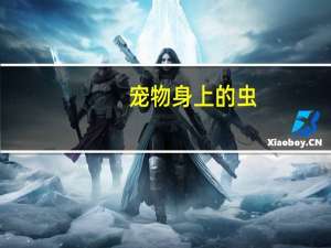 宠物身上的虫