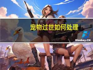 宠物过世如何处理