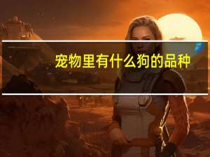 宠物里有什么狗的品种
