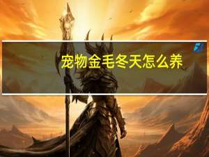 宠物金毛冬天怎么养
