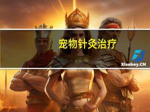宠物针灸治疗